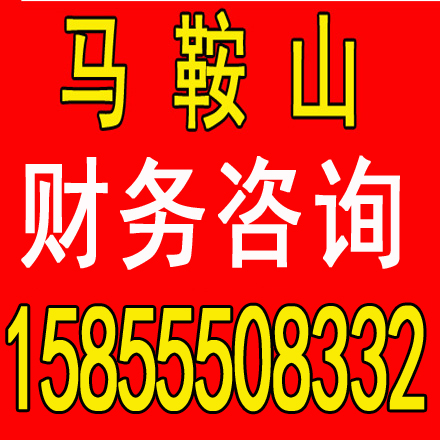 马鞍山和县郑蒲港当涂含山博望本地注册公司营业执照会计代账